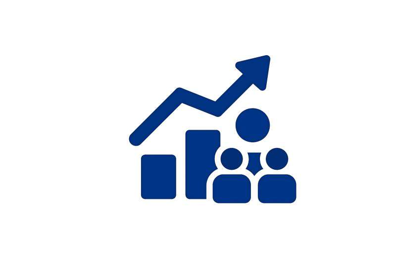 Structuri management